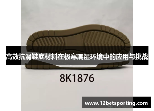 高效抗滑鞋底材料在极寒潮湿环境中的应用与挑战